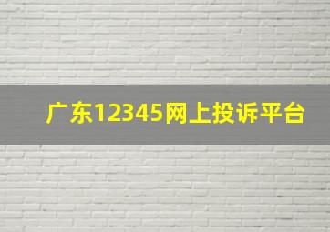 广东12345网上投诉平台