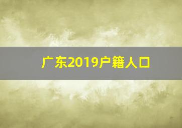 广东2019户籍人口