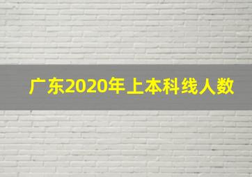 广东2020年上本科线人数