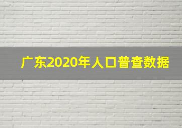 广东2020年人口普查数据