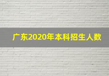 广东2020年本科招生人数