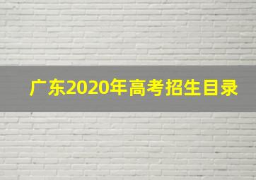 广东2020年高考招生目录