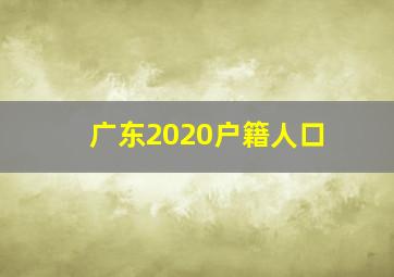 广东2020户籍人口