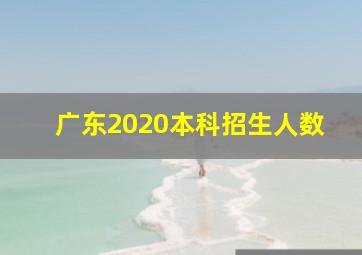 广东2020本科招生人数