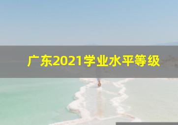 广东2021学业水平等级