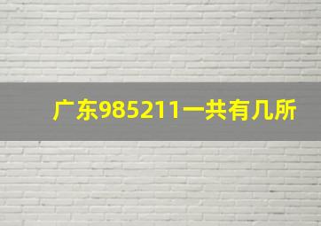 广东985211一共有几所