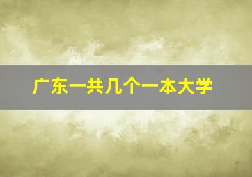 广东一共几个一本大学