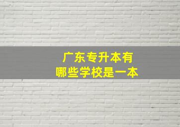 广东专升本有哪些学校是一本