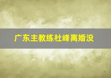 广东主教练杜峰离婚没