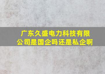 广东久盛电力科技有限公司是国企吗还是私企啊