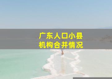 广东人口小县机构合并情况