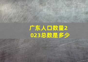 广东人口数量2023总数是多少