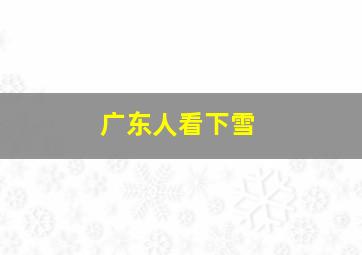 广东人看下雪