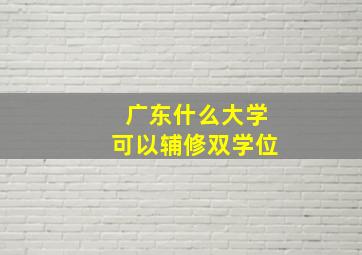 广东什么大学可以辅修双学位