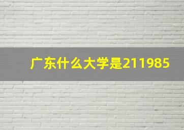 广东什么大学是211985