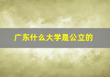 广东什么大学是公立的