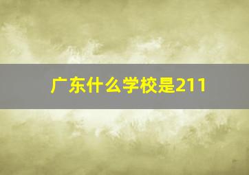 广东什么学校是211