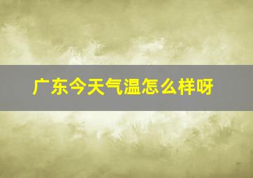 广东今天气温怎么样呀