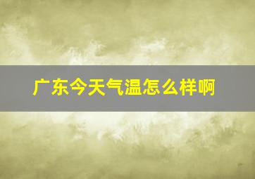 广东今天气温怎么样啊