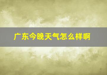 广东今晚天气怎么样啊