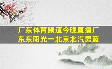 广东体育频道今晚直播广东东阳光一北京北汽男蓝