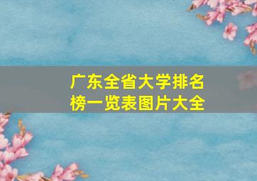 广东全省大学排名榜一览表图片大全