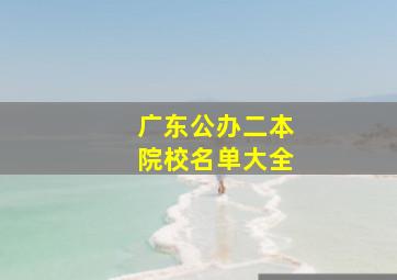 广东公办二本院校名单大全