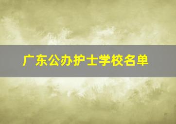 广东公办护士学校名单