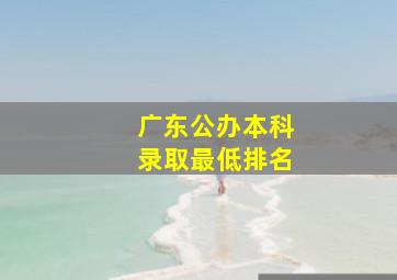 广东公办本科录取最低排名