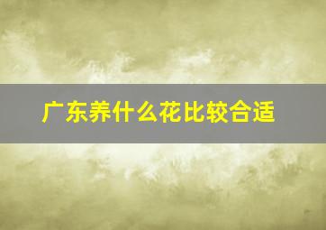 广东养什么花比较合适