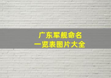 广东军舰命名一览表图片大全