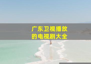 广东卫视播放的电视剧大全