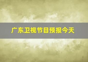 广东卫视节目预报今天