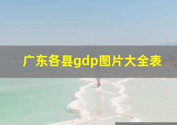 广东各县gdp图片大全表