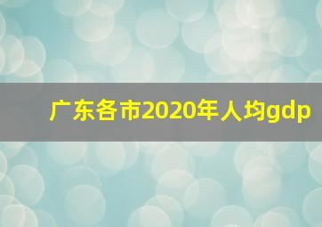 广东各市2020年人均gdp