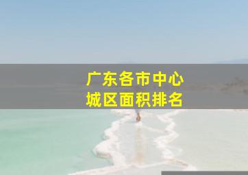 广东各市中心城区面积排名