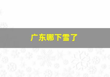 广东哪下雪了