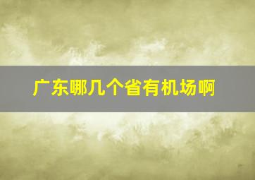 广东哪几个省有机场啊