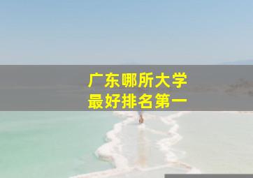 广东哪所大学最好排名第一