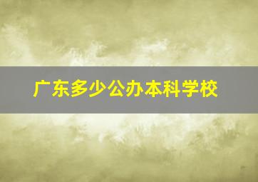 广东多少公办本科学校