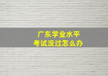 广东学业水平考试没过怎么办