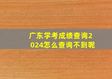 广东学考成绩查询2024怎么查询不到呢