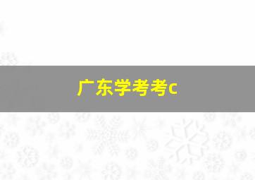 广东学考考c