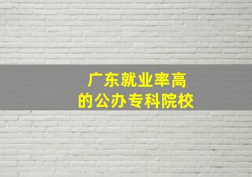 广东就业率高的公办专科院校