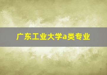 广东工业大学a类专业