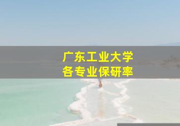 广东工业大学各专业保研率