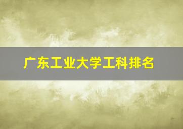 广东工业大学工科排名