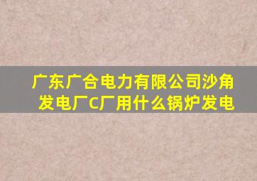 广东广合电力有限公司沙角发电厂C厂用什么锅炉发电