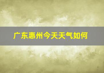 广东惠州今天天气如何