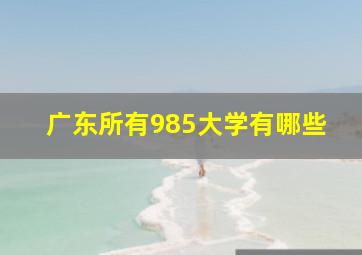 广东所有985大学有哪些